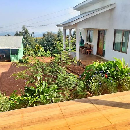 Ruhija Gorilla Guest House Kabale Exterior foto