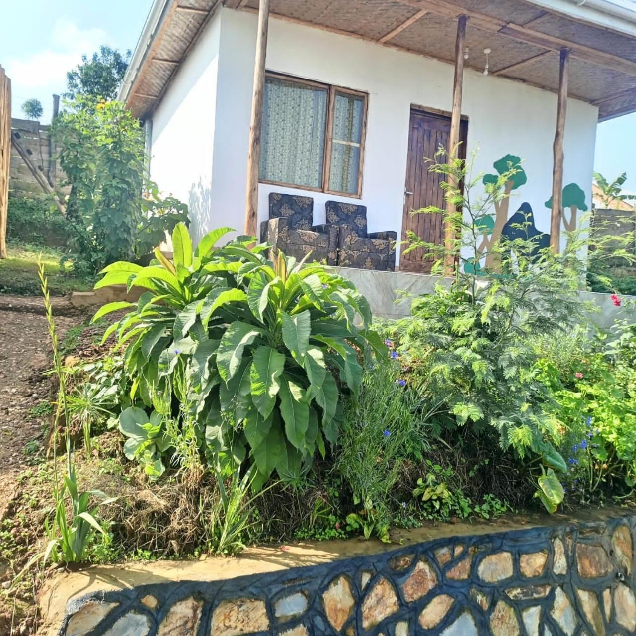 Ruhija Gorilla Guest House Kabale Exterior foto